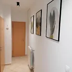 Vrh
