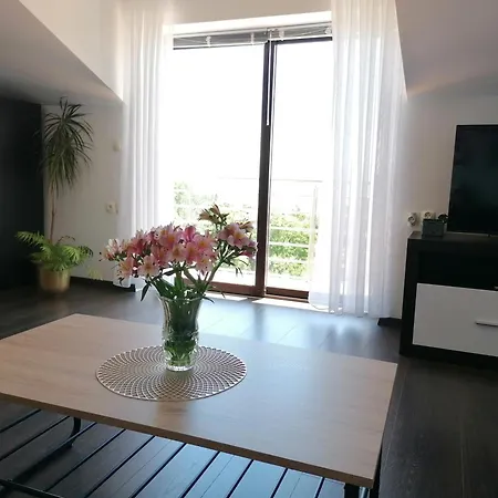 アパート Vrh マトゥリ