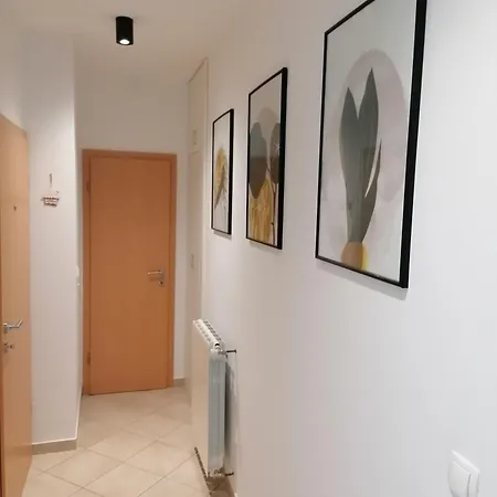 Vrh